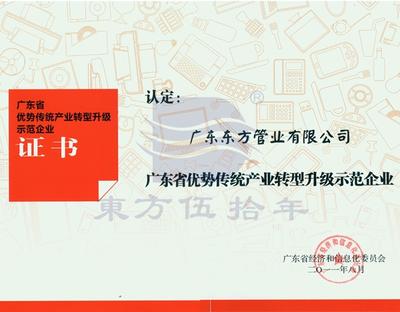  广东省优势传统产业转型升级示范企业证书