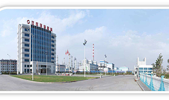 內蒙古雙欣能源化工有限公司