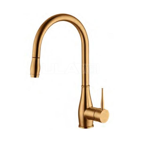 BW6021-Z1B Single kitchen faucet