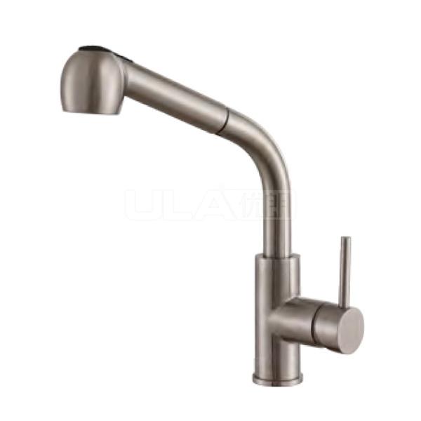 BW6006-BS Single kitchen faucet